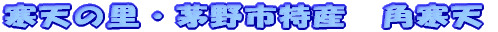 ���V�̗��E����s���Y�@�p���V