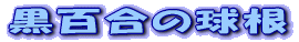 ���S���̋��� 