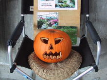 ハロウィーンのカボチャ