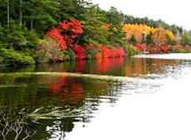 麦草峠 白駒の池