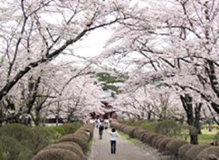 蓼科山 聖光寺