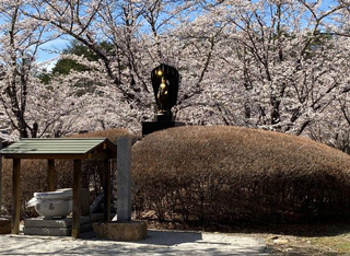 蓼科山 聖光寺