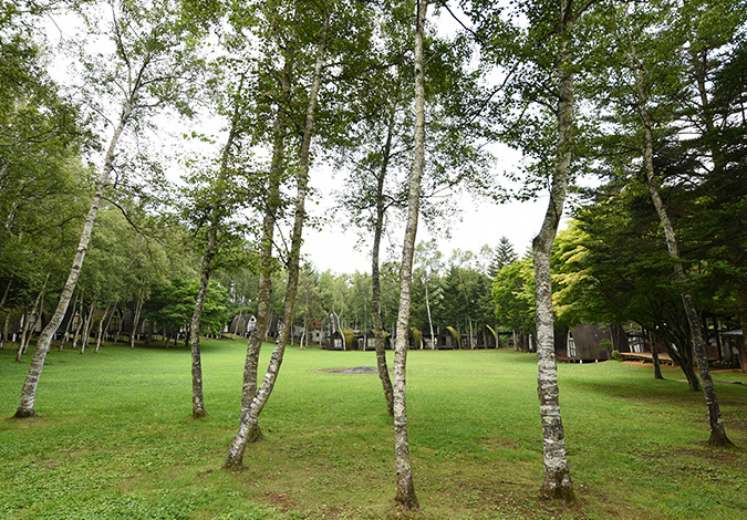 蓼科白林台キャンプ場
